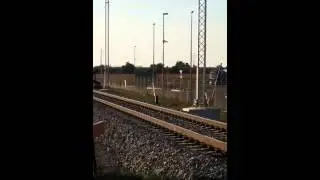 Adria v  lipovcih david