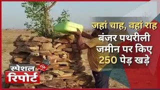 मिर्जापुर के विनय मौर्य का कमाल, भिस्कुरी के पथरीली जमीन पर उगा दिए सैकड़ों पेड़