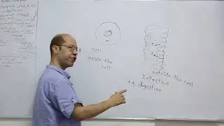 كيمياء حيوية سنة اولى المحاضرة الخامسة