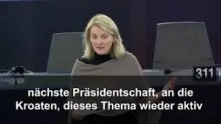 Bringen wir unser Steuerrecht ins 20. Jahrhundert mit BEPS 2.0! #EPlenary.