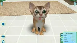 Игра Catz - первый запуск, с комментарием