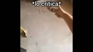 *lo critica*