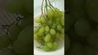 #fresh #fruit #sweet #grapes #youtube #shorts.