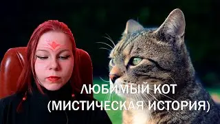 Любимый кот (мистическая история)
