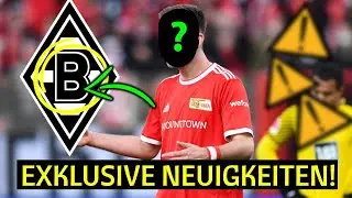 💥Heutige Nachrichten: Überraschung enthüllt! Nachrichten Vom Die Fohlen