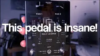 The Future Of Math Rock Looper Pedals | XERO Poly Looper by Walrus Audio