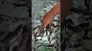 Рыбка - доктор или  fish-spa #мелания #море #вовик #travel