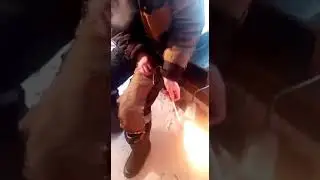 Как пришить заплатку без ниток