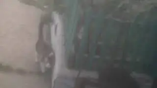 VID 20190429 192056