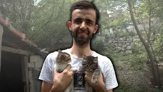 Beslediğim Hayvanlarım - ULAŞ KİNG HAYVANAT BAHÇESİ (KEDİ , BALIK , MUHABBET KUŞU)
