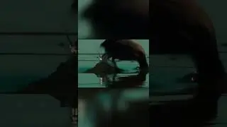 Coyote Hunts Ducks