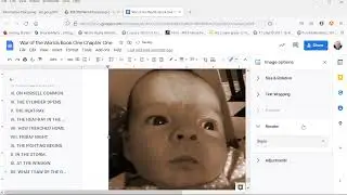 3.1.2: adjusting image properties (Google Docs version)