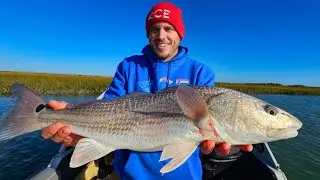 Catch n' Cook Delicious Redfish Right On the Boat!