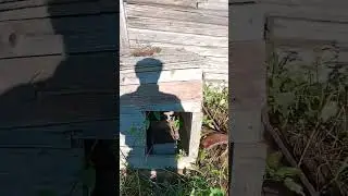 РЕконструкЦиЯ ... деревня Шихово...