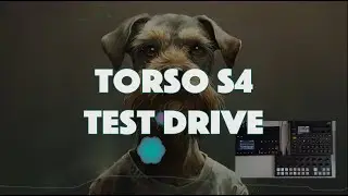 Torso S4, Torso T1, Analog Heat  FX & Digitak II - Live 33