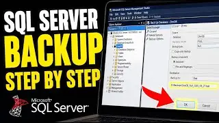 How to backup Microsoft SQL Server databases for development with backups - Step By Step