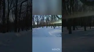 Парк в Красном селе
