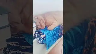 Когда ты хочешь спать..а у котика ночная дискотЭка #юмор #reels #тренды #кот #котики #жиза