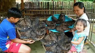 Process of making corn and rice tube cakes for sale & Making dried fish by hand