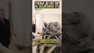 Эта находка меняет историю 