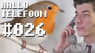 Fotospeciaalzaak 'Lach Eens Naar Het Vogeltje' - Hallo Telefoon