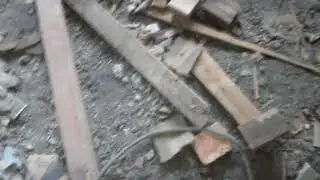 Больничка апокалипсиса
