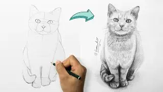 Cómo Dibujar un Gato