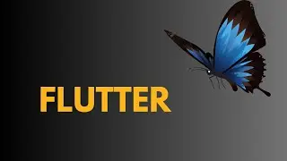 What Does flutter  Means || Meanings And Definitions With flutter  in learn    ENGLISH