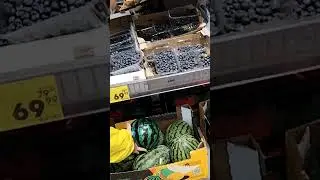 10 августа 2024 г.
