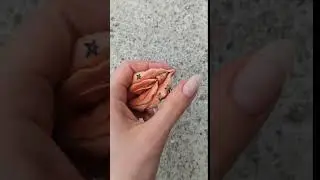 handmade polymer clay piercing tattoo passion genitals pussy 18+ fuck
