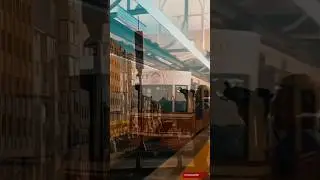 İstanbul Travel 🇹🇷 #istanbul #beyoğlu #galatatower #karaköy #istiklalcaddesi #istanbulturkey #shorts