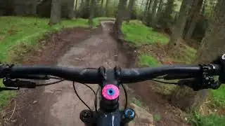 Hamsterley Forest MTB - Transmission, Accelerator and Nitrous