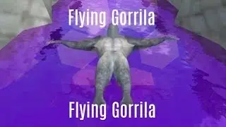 Flying Gorrila World Record Holder!