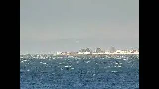 Bush Point - January 10, 2025
