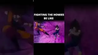 FIGHTING YOUR HOMIES BE LIKE