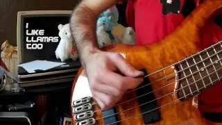 No Time To Cry Bass Cover