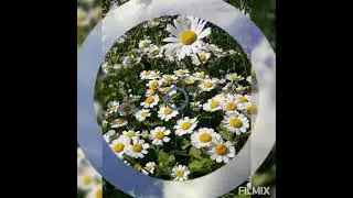Клип "Я русский" ☀️ 2ая часть. 🌞