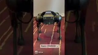 Xiaomi CYBERDOG