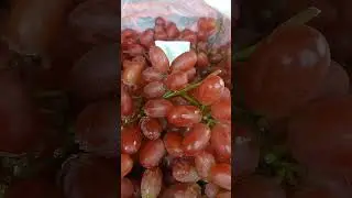 SEEDLESS GRAPES 🍇#shorts #satisfying #asmr #fruit #grapes