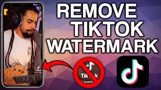 How To Repost TikTok Videos To IG Reels Without the Watermark (2021)