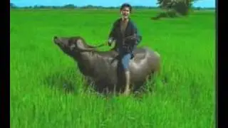 Mahbin Fertilizer [Illusion Money] TVC SkyExits.com Thailand