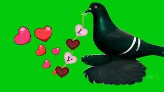 Green screen flowers effect status green screen. Dove green screen effects