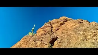 Hiking Sonoran Desert in Arizona & Chillhop Beats | West Saguaro National Park | Nature & Music 183