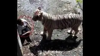 DELHI ZOO ACCIDENT
