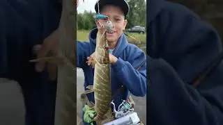 Первые впечатления 🙂 #fishing #рыбалка #рыболовная #карелия #spinfishing #top #рек #рыбаки #спиннинг