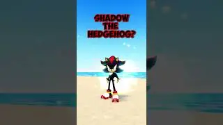 Shadow Vs Silver? (Sonic Speed Simulator)