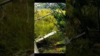 ТЕЛИЦУ УНЕСЛО УРАГАНОМ СО ДВОРА #shorts