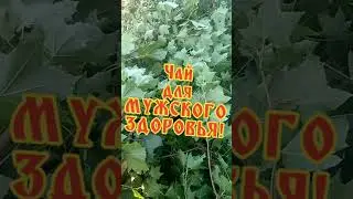Чай для мужского здоровья!