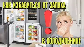 Как избавиться от запаха в холодильнике?