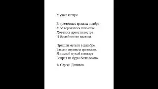 Муха в янтаре #shorts
